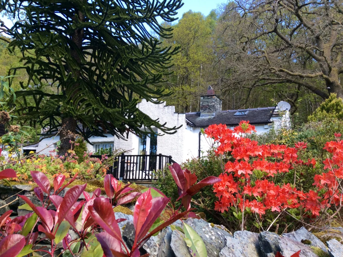 The Dove Cot, Ambleside