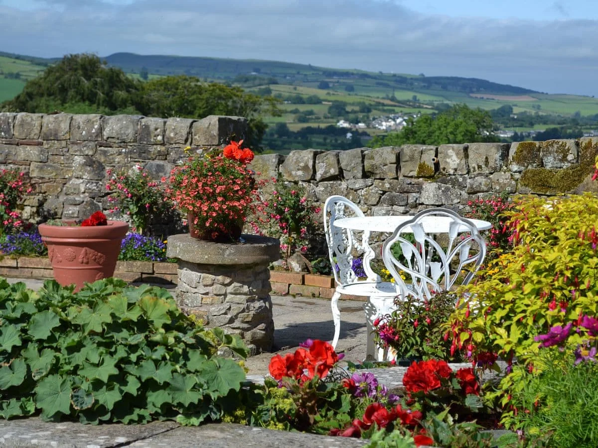 Daleside - Rosedale