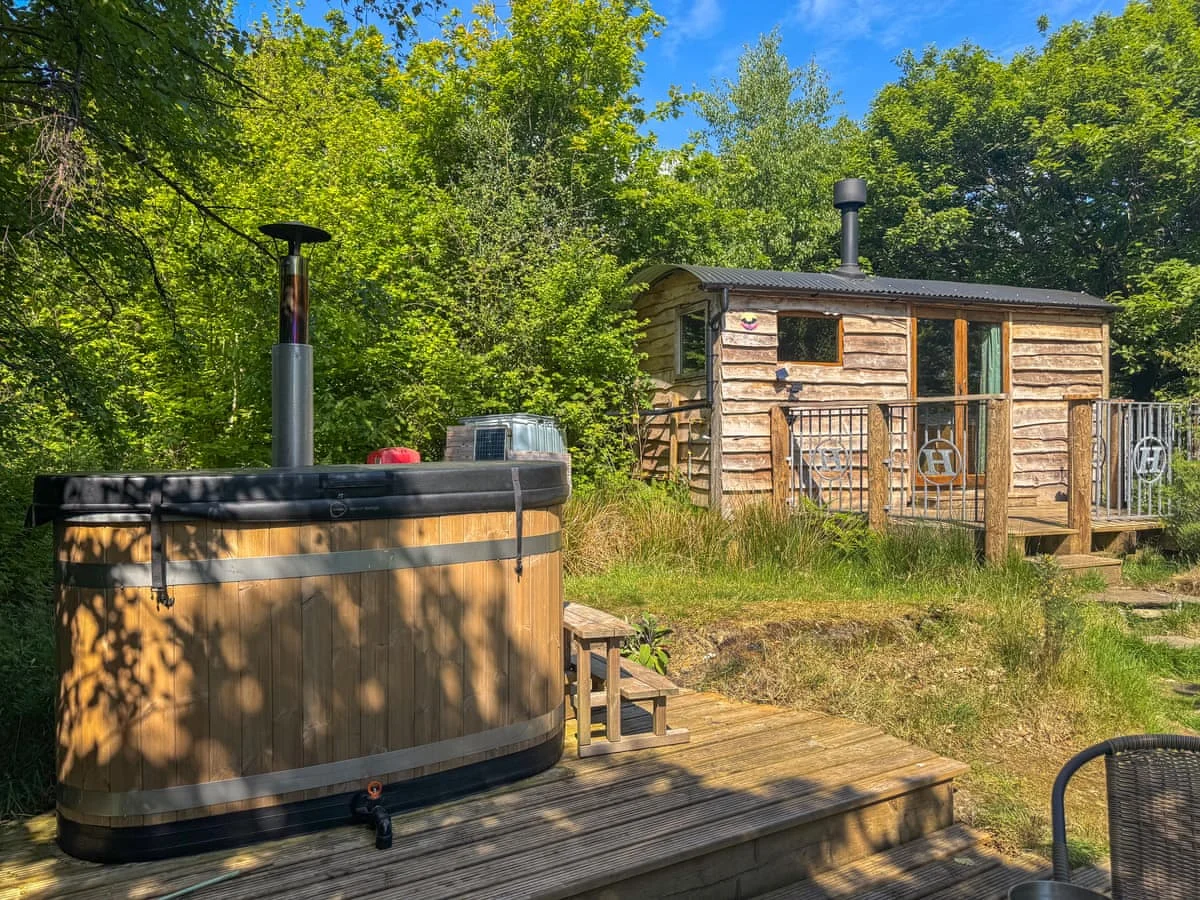Woodland Retreats - Bats About
